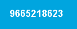 9665218623