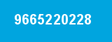 9665220228