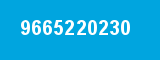 9665220230