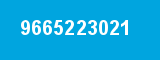 9665223021