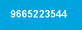 9665223544 9665223544