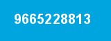 9665228813
