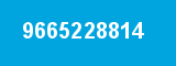 9665228814