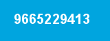 9665229413