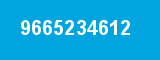9665234612