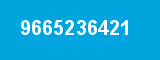 9665236421