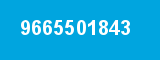 9665501843
