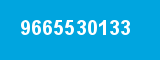 9665530133