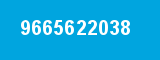 9665622038