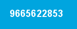 9665622853