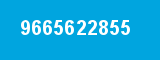 9665622855