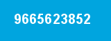9665623852 9665623852