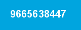 9665638447 9665638447