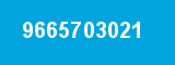 9665703021 9665703021
