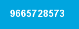 9665728573