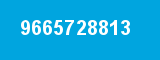 9665728813 9665728813