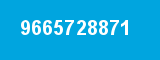 9665728871