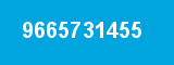 9665731455 9665731455