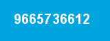 9665736612