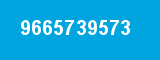 9665739573