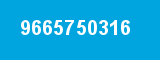 9665750316 9665750316