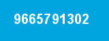 9665791302