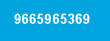 9665965369