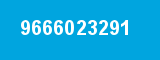9666023291