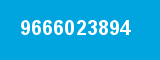 9666023894