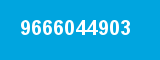 9666044903