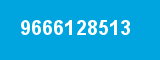 9666128513 9666128513