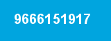 9666151917