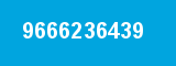9666236439
