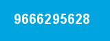 9666295628