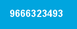 9666323493