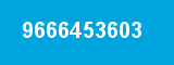 9666453603