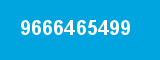9666465499