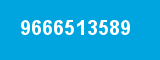 9666513589