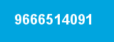 9666514091