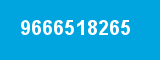 9666518265
