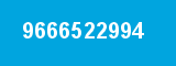 9666522994