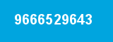 9666529643