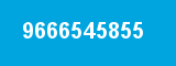 9666545855