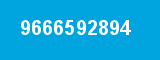 9666592894