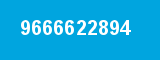 9666622894
