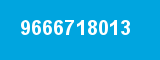 9666718013