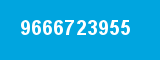 9666723955