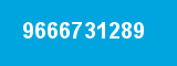 9666731289