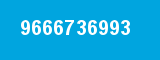 9666736993