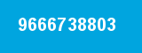 9666738803